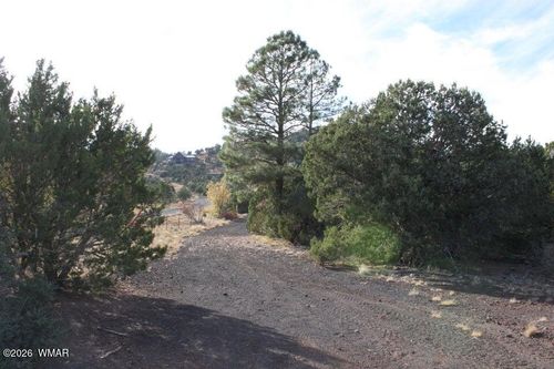 TBD County Road 3140, Vernon, AZ, 85940 | Card Image