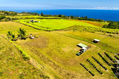 35-326 Pahale Rd, Papaaloa, HI, 96780 | Card Image