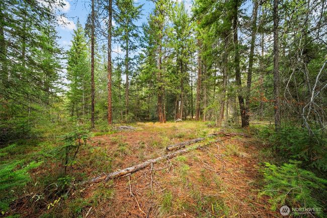 0 S Shugart Flats Rd, Home with 0 bedrooms, 0 bathrooms and null parking in Leavenworth WA | Image 35