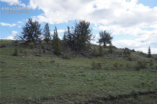1022 Walls St, Hartsel, CO, 80449 | Card Image