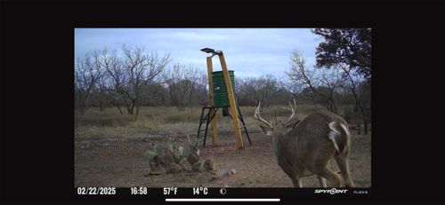 101 Sika Spur, Brady, TX, 76825 | Card Image