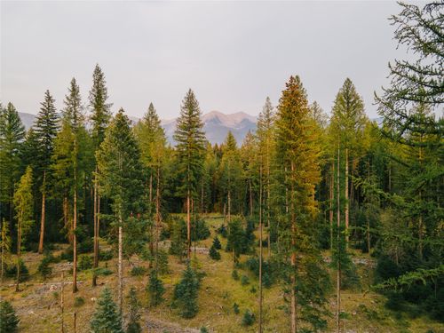 NHN Styler Dr, Condon, MT, 59826 | Card Image