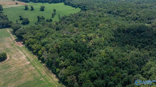 4 Acres Carters Gin Rd, Toney, AL, 35773 | Card Image