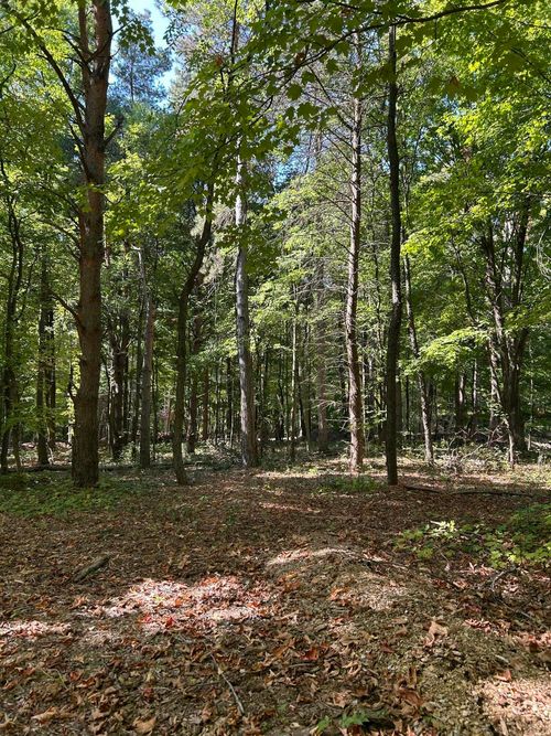 8980 Sailor Drive Se, Byron Center, MI, 49315 | Card Image