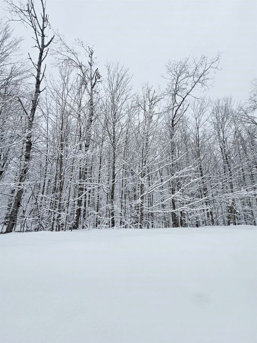 394 Pinedale Dr, Elmira, MI, 49730 | Card Image