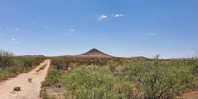 6 | Image 8