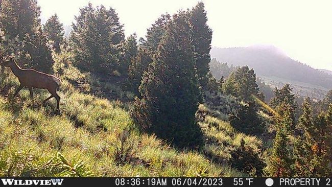 74 Pony Express Trl, Home with 0 bedrooms, 0 bathrooms and null parking in Ramsay MT | Image 5