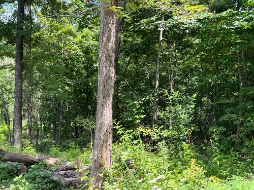 Lot 45 Pr Ridge Haven, Mammoth Spring, MO, 72554 | Card Image