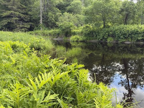 Lot 16-6 Norridgewock Rd, Fairfield, ME, 04937-3182 | Card Image