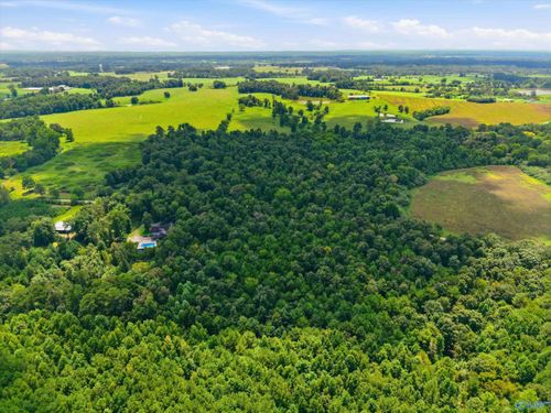 25 acres County Road 3, Albertville, AL, 35950 | Card Image