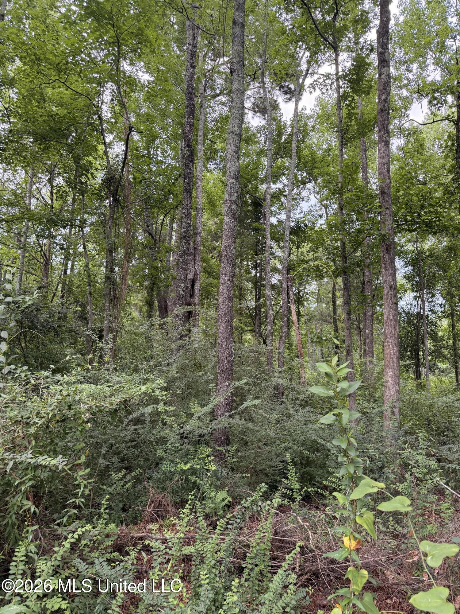 Land in McComb 5