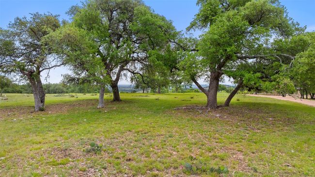 View of yard | Image 25