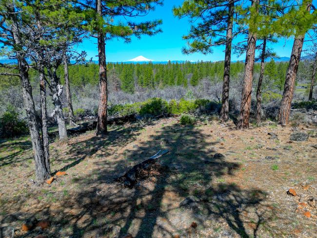 547705 Old Highway Rd, House other with 3 bedrooms, 3 bathrooms and null parking in Mcarthur CA | Image 61