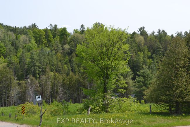 00 Calabogie Rd, House other with 3 bedrooms, 3 bathrooms and 4 parking in Burnstown ON | Image 16