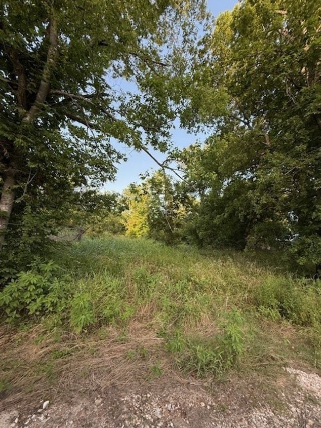 202 Elm St, Home with 0 bedrooms, 0 bathrooms and null parking in Roxton TX | Image 13