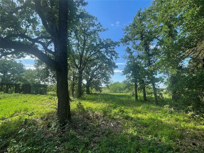 1016 Ross Rd, Home with 0 bedrooms, 0 bathrooms and null parking in Elm Mott TX | Image 8