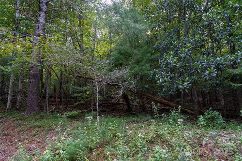 249and250-0 Swans Way E, Lake Lure, NC, 28746 | Card Image