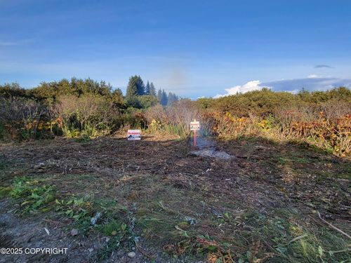 17338 Tidal Knoll Rd, Ninilchik, AK, 99639 | Card Image