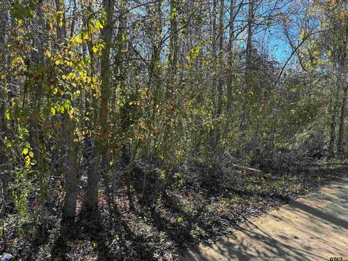 628 Balmorea Dr, Bullard, TX, 75757-9072 | Card Image