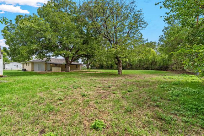 View of grassy yard | Image 4