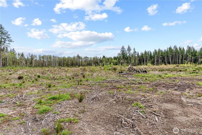 4949 Jackson Hwy, Home with 0 bedrooms, 0 bathrooms and null parking in Toledo WA | Image 26
