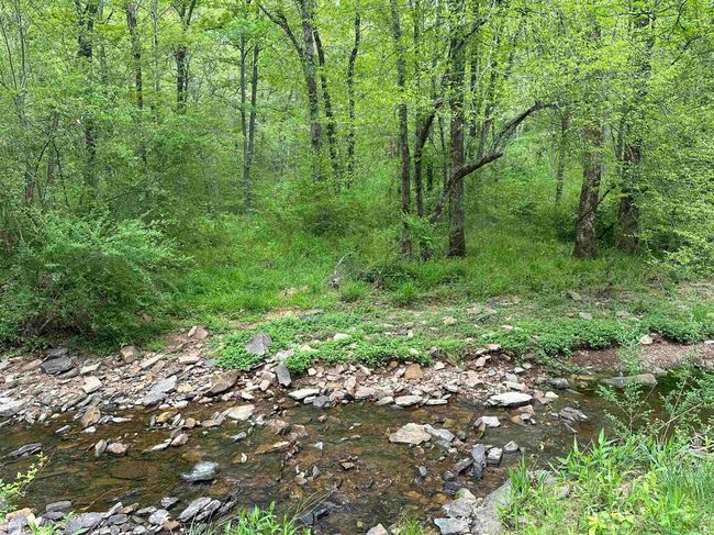 4090 Sunny Slope Rd, Home with 0 bedrooms, 0 bathrooms and null parking in Edgemont AR | Image 14