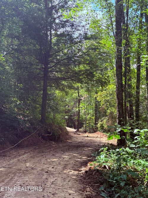 1055 Big Four Rd, La Follette, TN, 37766-6143 | Card Image