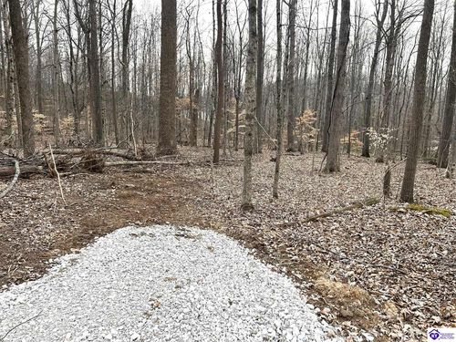 lot-11-2525 Salem Lake Rd, Hodgenville, KY, 42748-8500 | Card Image