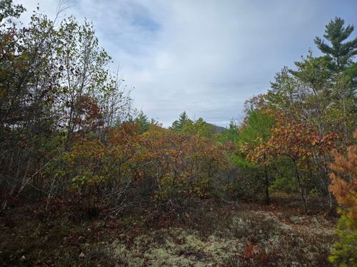 133 Plantation Lane, Brownfield, ME, 04010 | Card Image