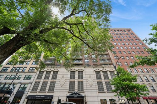 24e-1250 N Dearborn St, Chicago, IL, 60610-8238 | Card Image