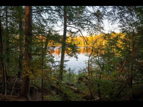 Lot 162 Clearwater Ln, Eagle River, WI, 54521 | Card Image