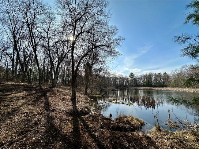 16 295th Street, Home with 0 bedrooms, 0 bathrooms and null parking in Holcombe WI | Image 35