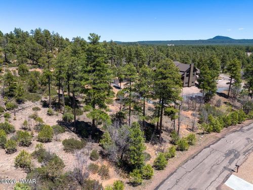 6007 Rim Rd, Lakeside, AZ, 85929-5092 | Card Image