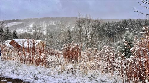 6843 Springs Rd, Ellicottville, NY, 14731-9628 | Card Image