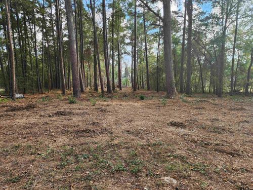 371 County Road 4152, Pittsburg, TX, 75686-4052 | Card Image