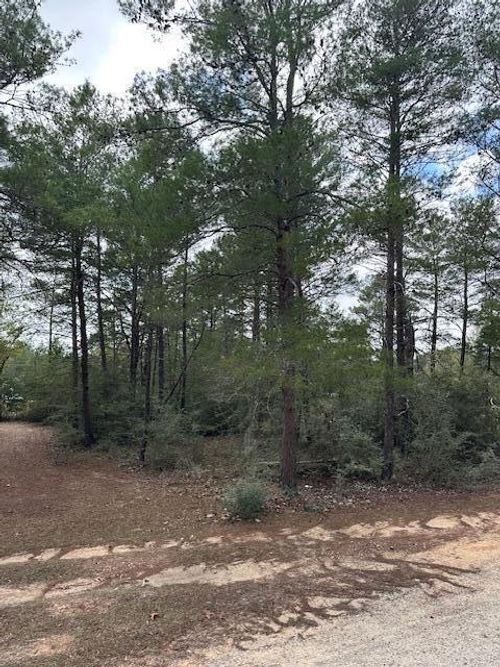 Lot 9 E Fernwood Ct, Defuniak Springs, FL, 32433-2800 | Card Image