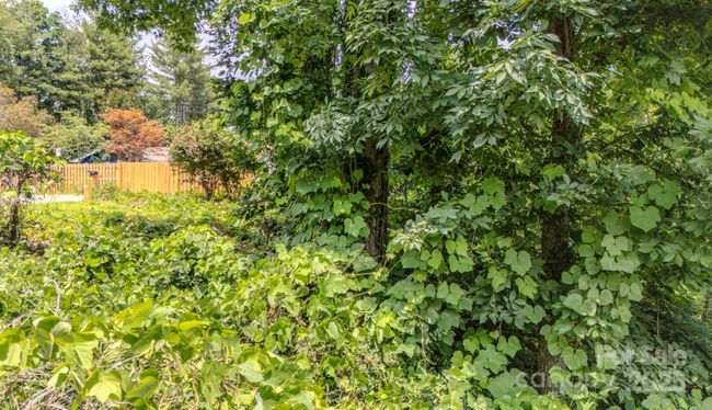 99999 Westchester Dr, Home with 0 bedrooms, 0 bathrooms and null parking in Asheville NC | Image 9