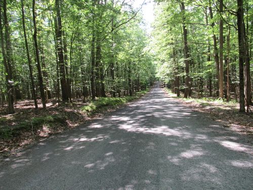 14B San Andres Rd, Dubois, PA, 15801 | Card Image
