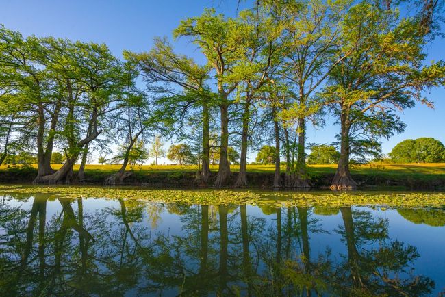 Property view of water | Image 15