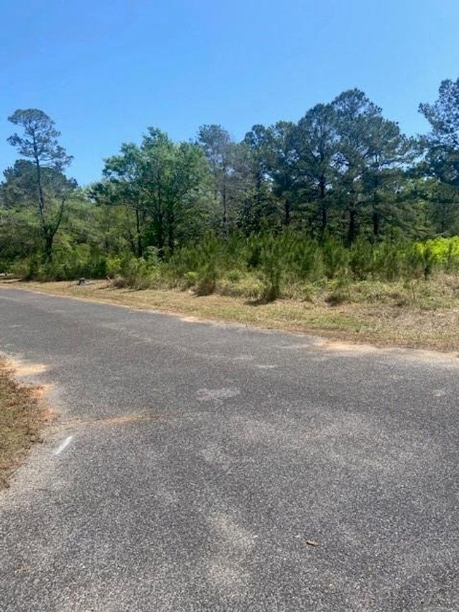 3851 River Rd, Home with 0 bedrooms, 0 bathrooms and null parking in Theodore AL | Image 6