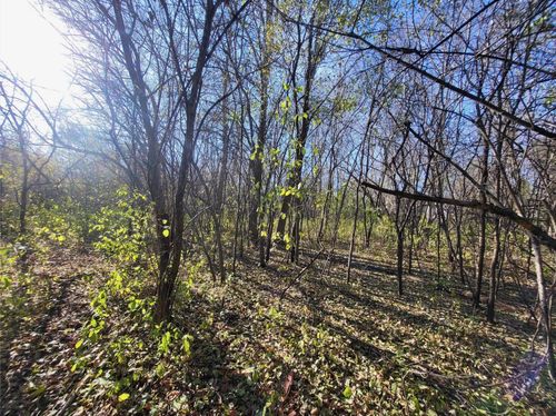 TBD 438th St, Harris, MN, 55032 | Card Image