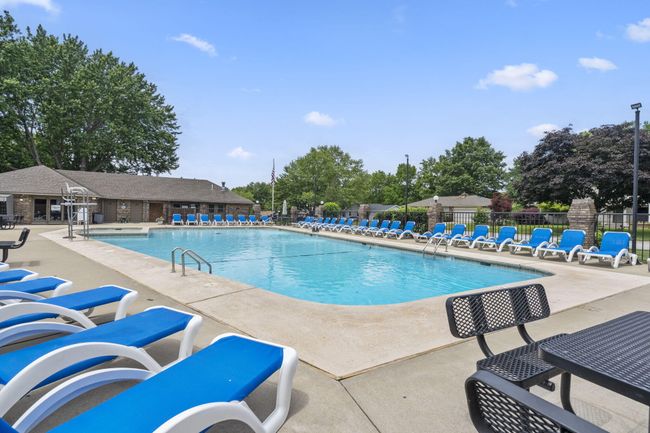 34-web-or-mls-DSC01555 | Image 66