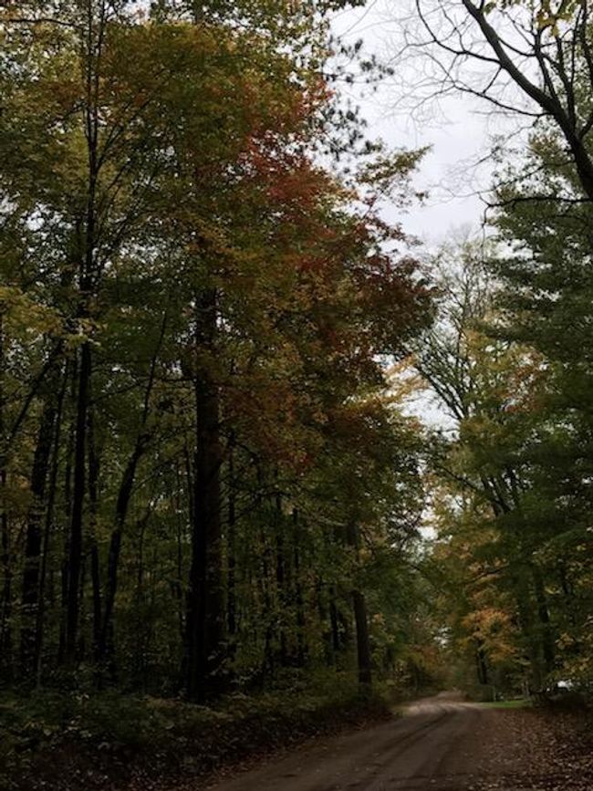 5892 E 68 Th St, Home with 0 bedrooms, 0 bathrooms and null parking in Chase MI | Image 20