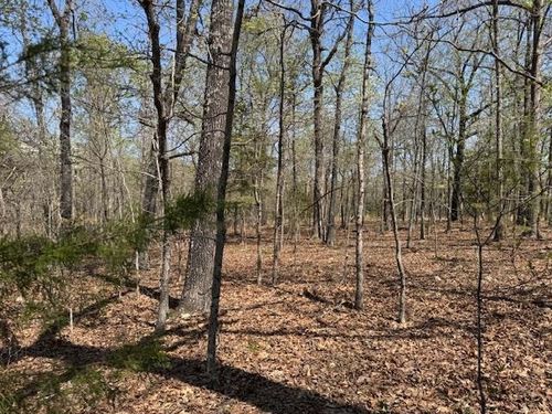 410 N Sequoia Dr, Horseshoe Bend, AR, 72512-2016 | Card Image