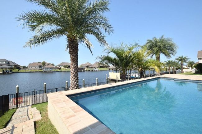 Pool & Palm trees | Image 33