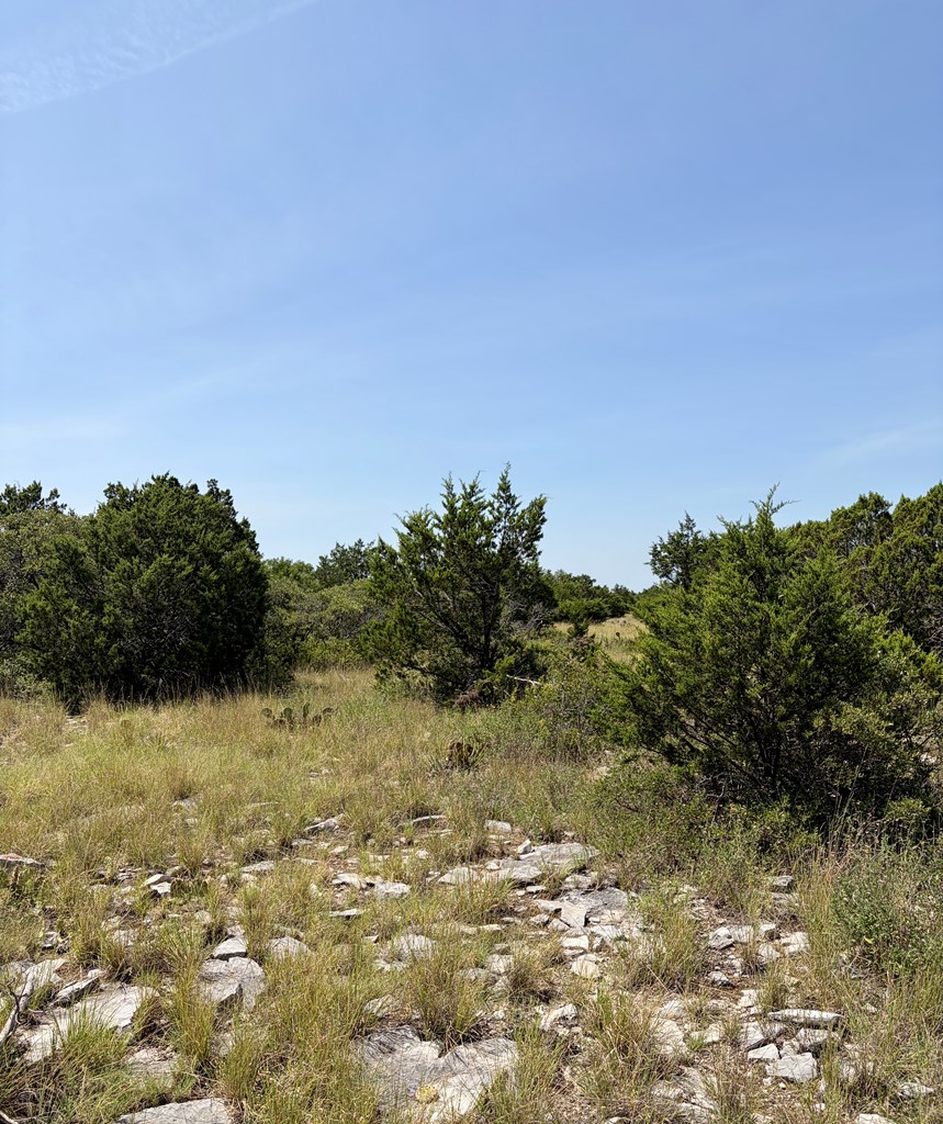 Farm in Eldorado 5