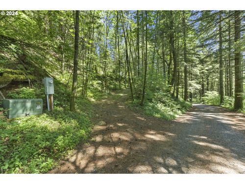  Kueffler Rd, Skamania, WA, 98648 | Card Image