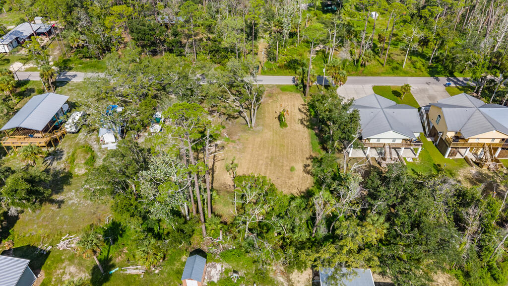 Land in Steinhatchee 2