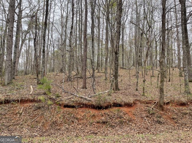 0 Green Oak Cir, Home with 0 bedrooms, 0 bathrooms and null parking in Thomaston GA | Image 5