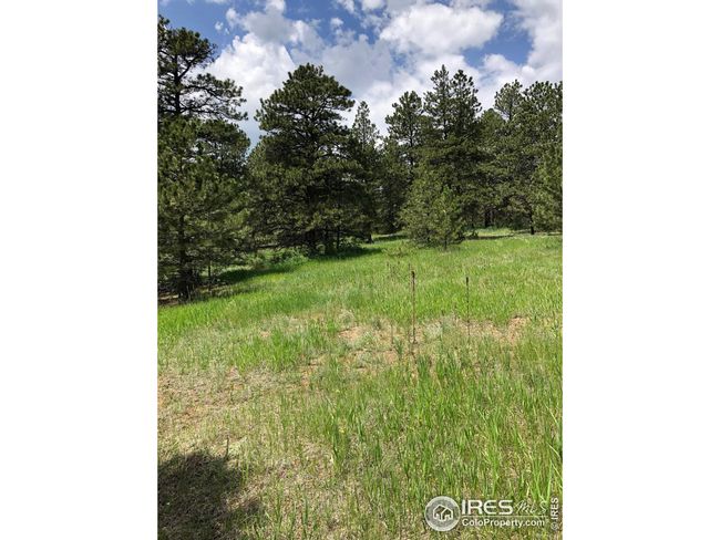 442 Quarter Circle Ln, Home with 0 bedrooms, 0 bathrooms and null parking in Evergreen CO | Image 9